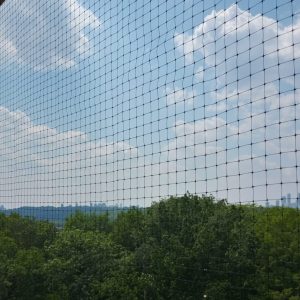 WhatsApp Image 2021-07-12 at 7.46.16 PM