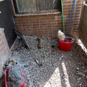 WhatsApp Image 2022-03-14 at 10.59.32 AM