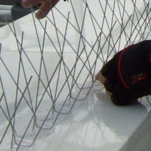 o_1bk4f2du315k716t010ts1ljk11voe