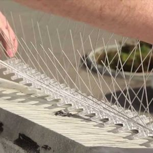 ss-bird-spikes-pc-products